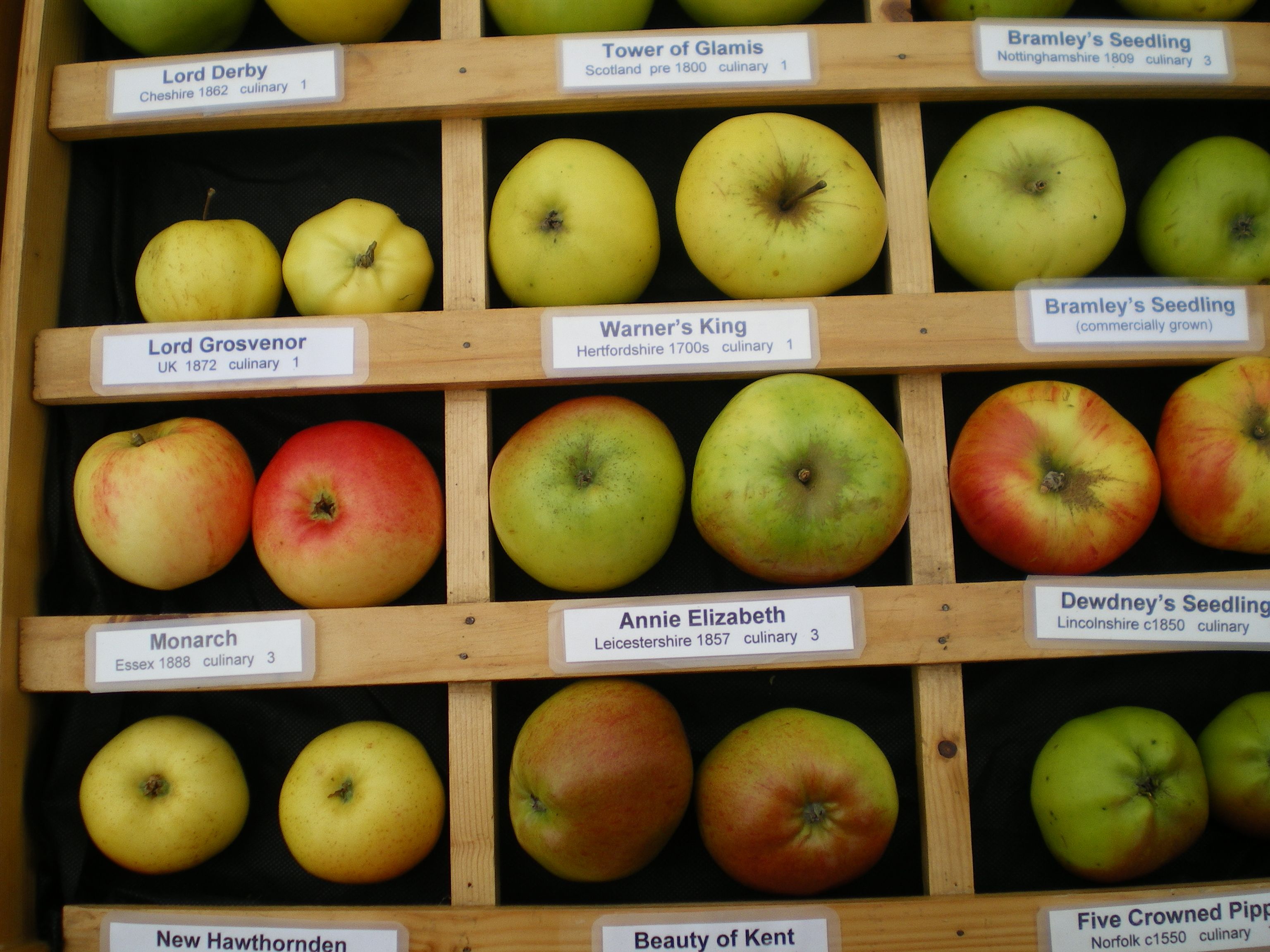 Diverse æblesorter