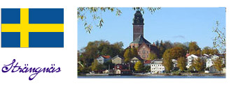 Domkirken i Strängnäs